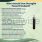 Shungite Pencil Pendant – Natural Healing Crystal Necklace for Grounding, Protection & Energy Balance