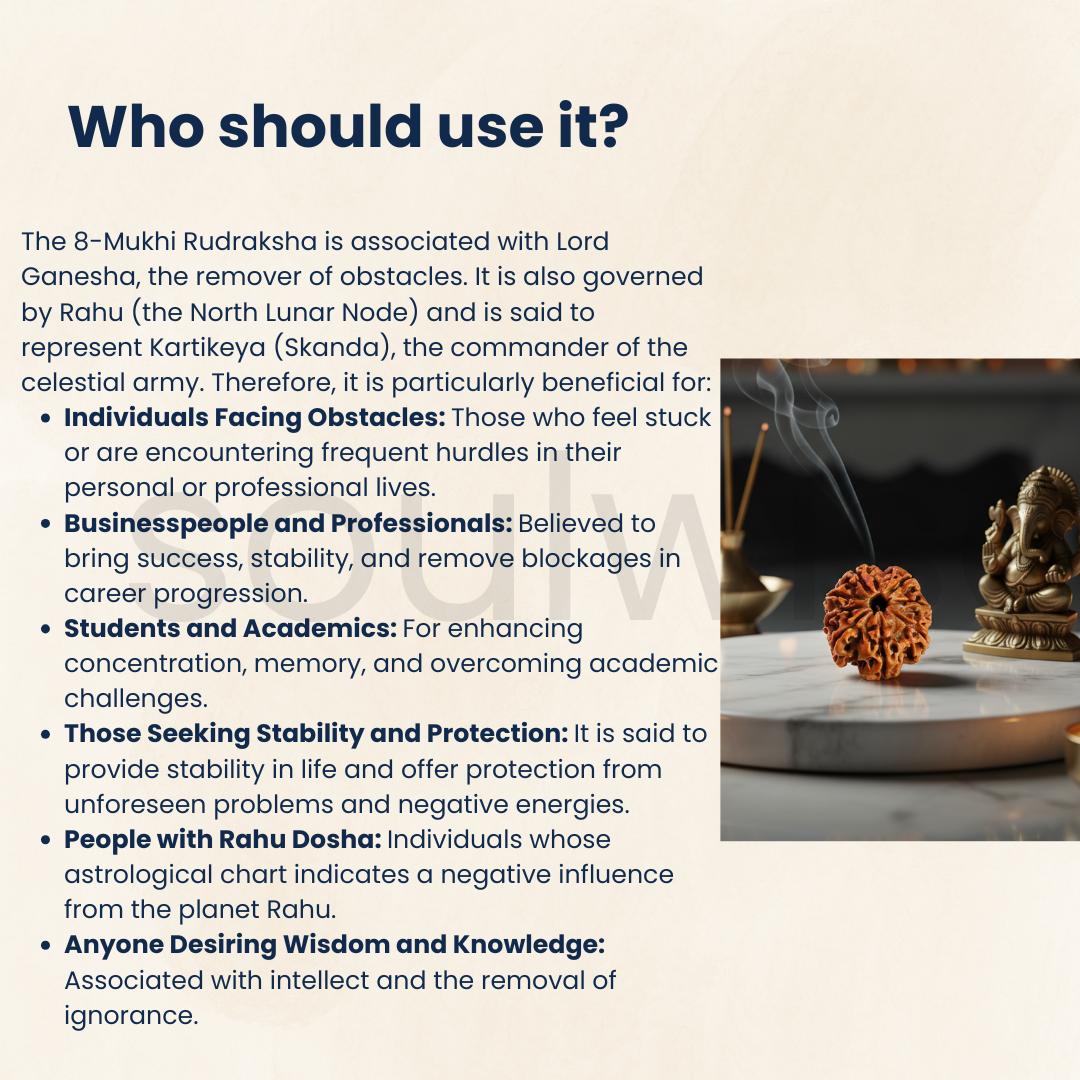 8 Mukhi Nepali Rudraksha Bead — Natural, Lab‑Certified, Spiritual Pendant / Mala Bead