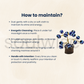Soulwise Evil Eye Miniature Tree  | abletop Spiritual Showpiece for Office, Living Room, Gift Use.