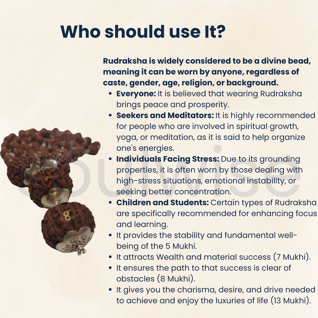 7, 7, 8, 13 Mukhi with 5 Mukhi Silver Nepali Rudraksha Mala – Spiritual & Protective Necklace