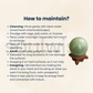 Soulwise Green Aventurine Healing Crystal Sphere Decor, Attract Good Luck, Opportunities, and Financial Success .