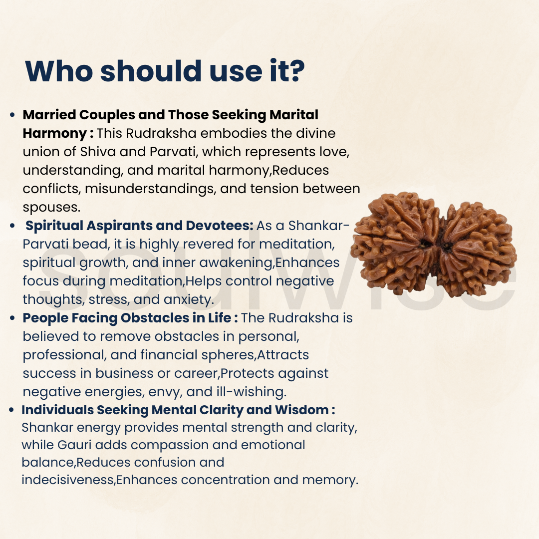 Antique Collector Size, 14 Mukhi Gauri‑Shankar Rudraksha (Nepali Origin, Premium Bead).