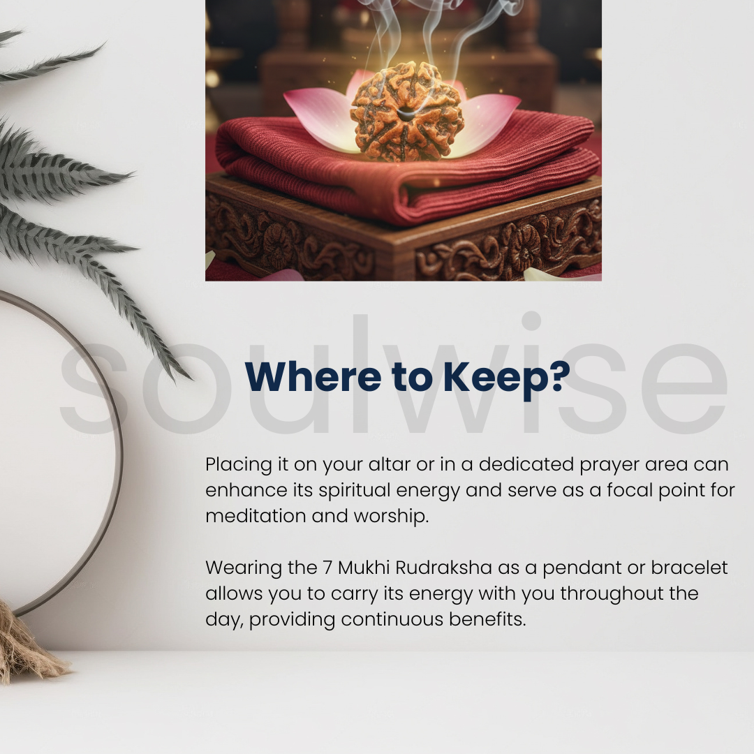 7 मुखी रुद्राक्ष