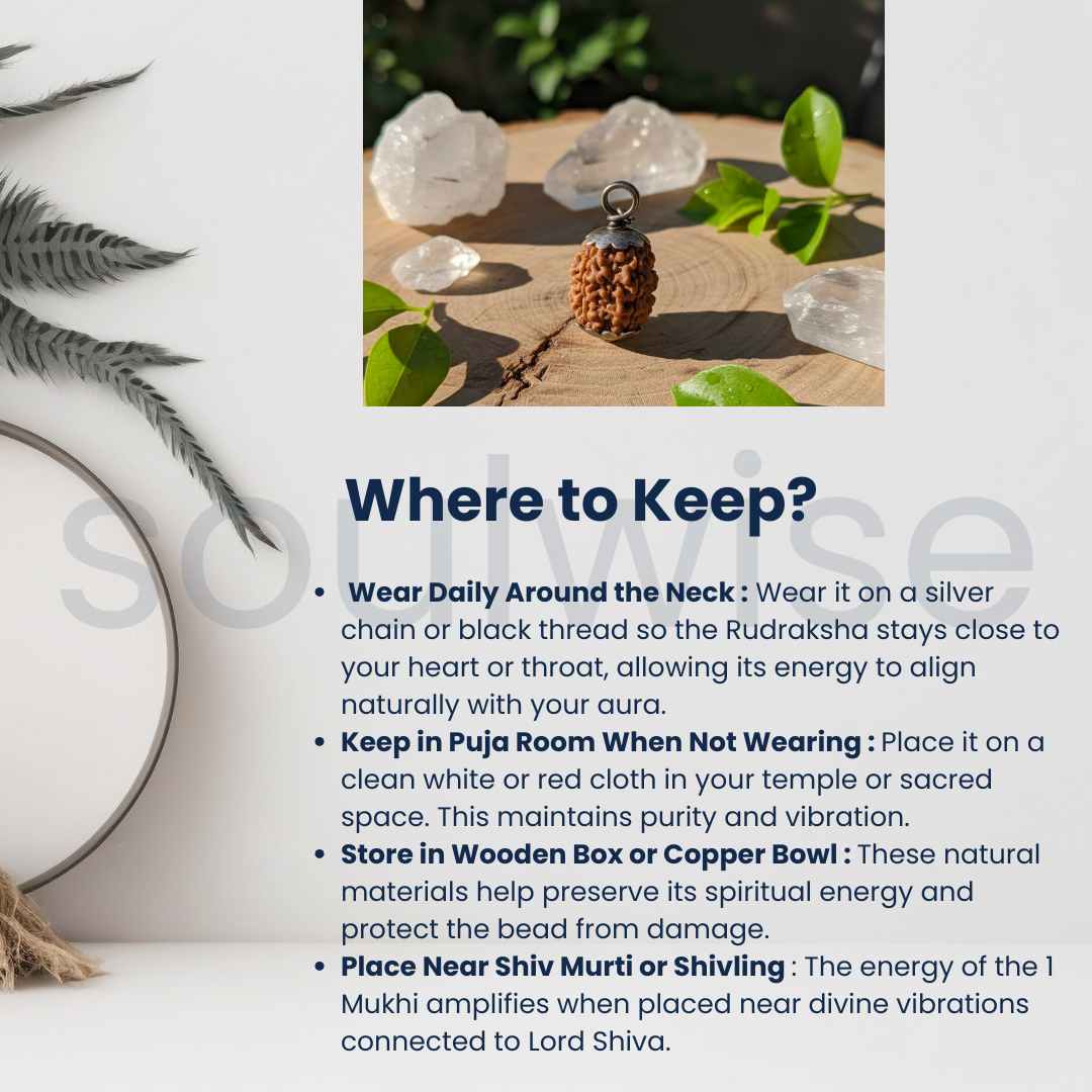 Original 3 Mukhi Nepali Rudraksha Silver Pendant (Without Chain) – Teen Mukhi Agni Energy Bead