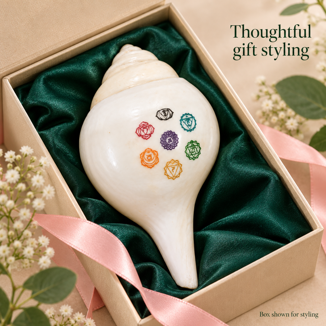 Seven Chakra Shankh – Chakra-Themed Decorative Conch for Home Mandir, Meditation Space & Spiritual Gifting