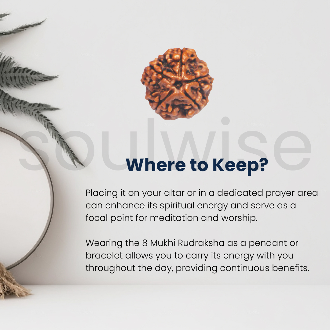 Natural 5 Mukhi Rudraksha | Panch Mukhi Rudraksha with Lab Certificate & X-Ray Report