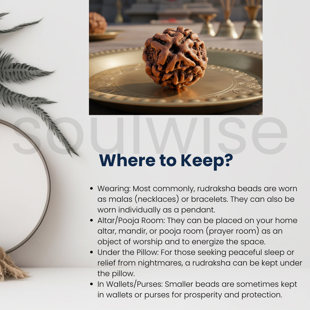 4 Mukhi Nepali Rudraksha Bead — Lab-Certified Authentic, Spiritual Pendant / Mala Bead / Meditation Bead