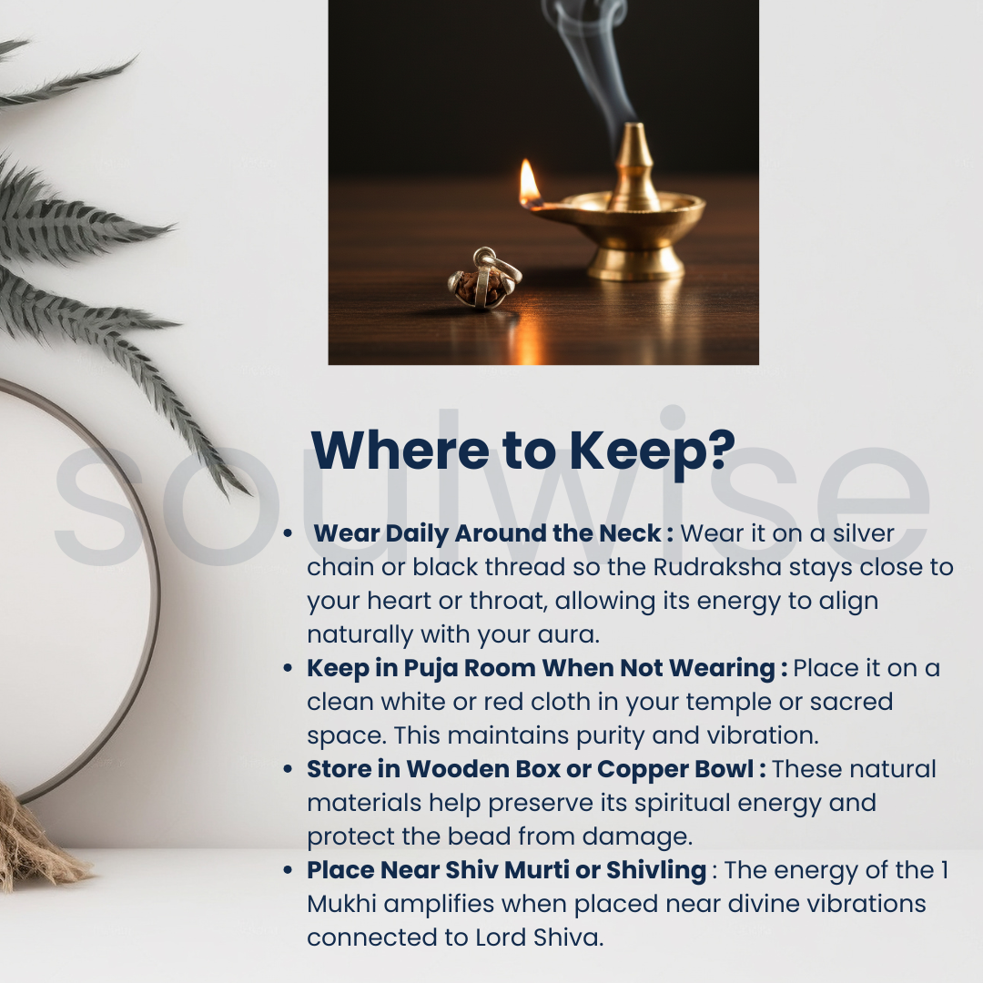 1 Mukhi Indonesian Rudraksha Silver Pendant (Without Chain) – Ek Mukhi Divine Energy Bead