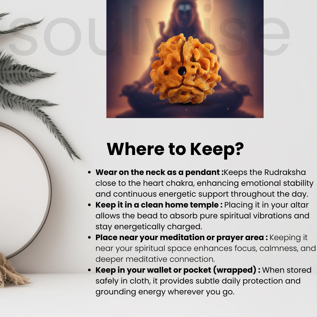 Natural 3 Mukhi Rudraksha | Genuine Nepali Three Mukhi Rudraksha Bead for Confidence, Health & Positivity | Energized & Ready to Wear