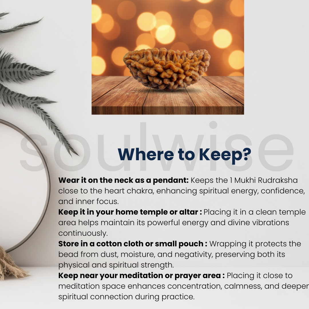 Natural 1 Mukhi Rudraksha (Kaju Shape) | Ek Mukhi Rudraksha for Peace, Focus & Spiritual Growth | Energized & Ready to Wear.