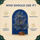 Lapis Lazuli Crystal Tree 8 Inch – Blue Gemstone Tree for Home Décor, Office Desk, Meditation & Spiritual Gifting