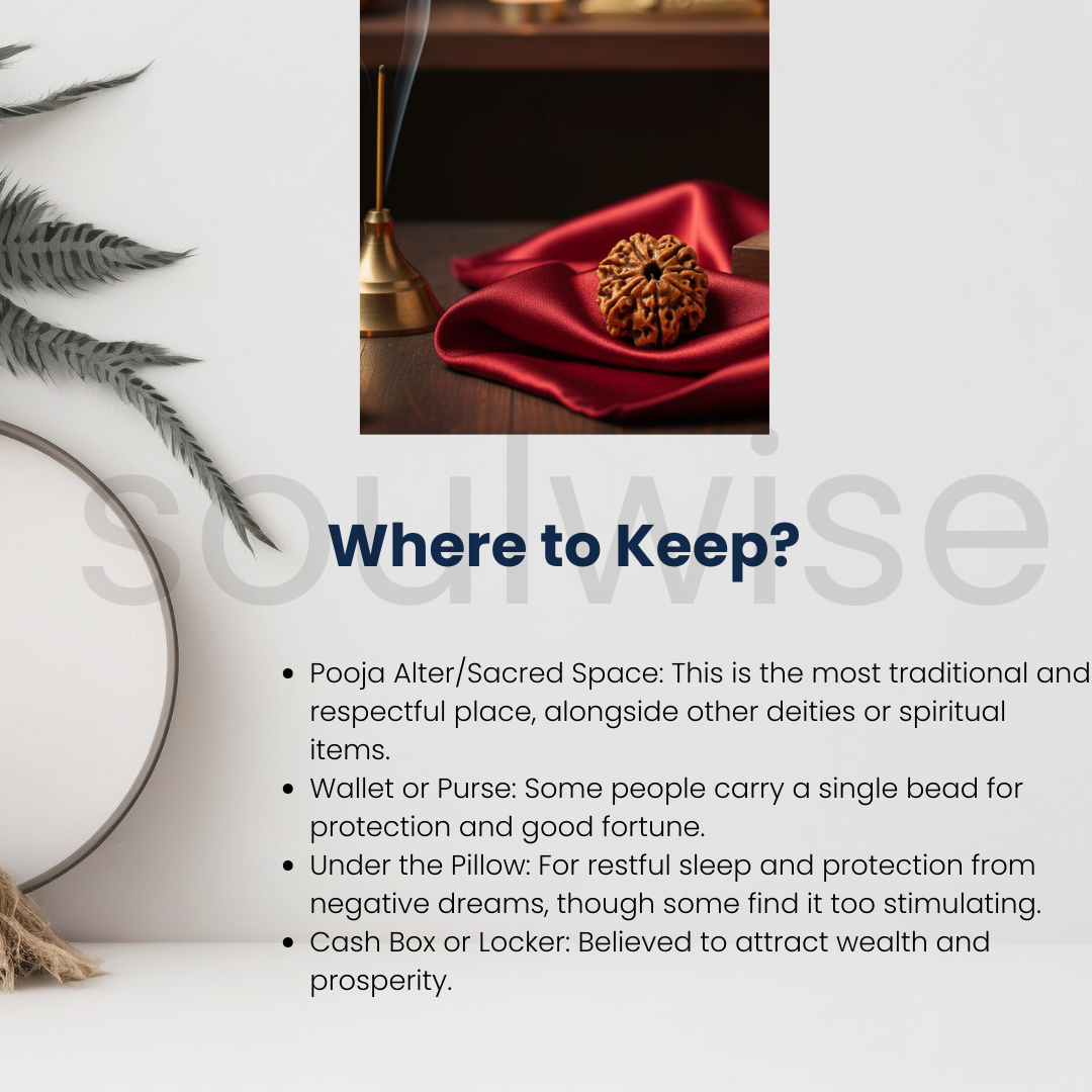 8 Mukhi Nepali Rudraksha Bead — Natural, Lab‑Certified, Spiritual Pendant / Mala Bead