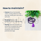 Soulwise Natural Amethyst Jaap Mala 108+1 Beads | Spiritual Prayer Beads for Meditation, Mantra Chanting, Healing & Chakra Balancing