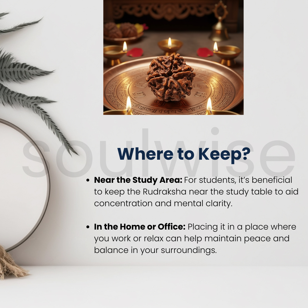 Soulwise Premium 6 Mukhi Nepali Rudraksha | Natural & Lab Certified | Energized for Harmony & Prosperity | Comes in Box  – Medium Size.