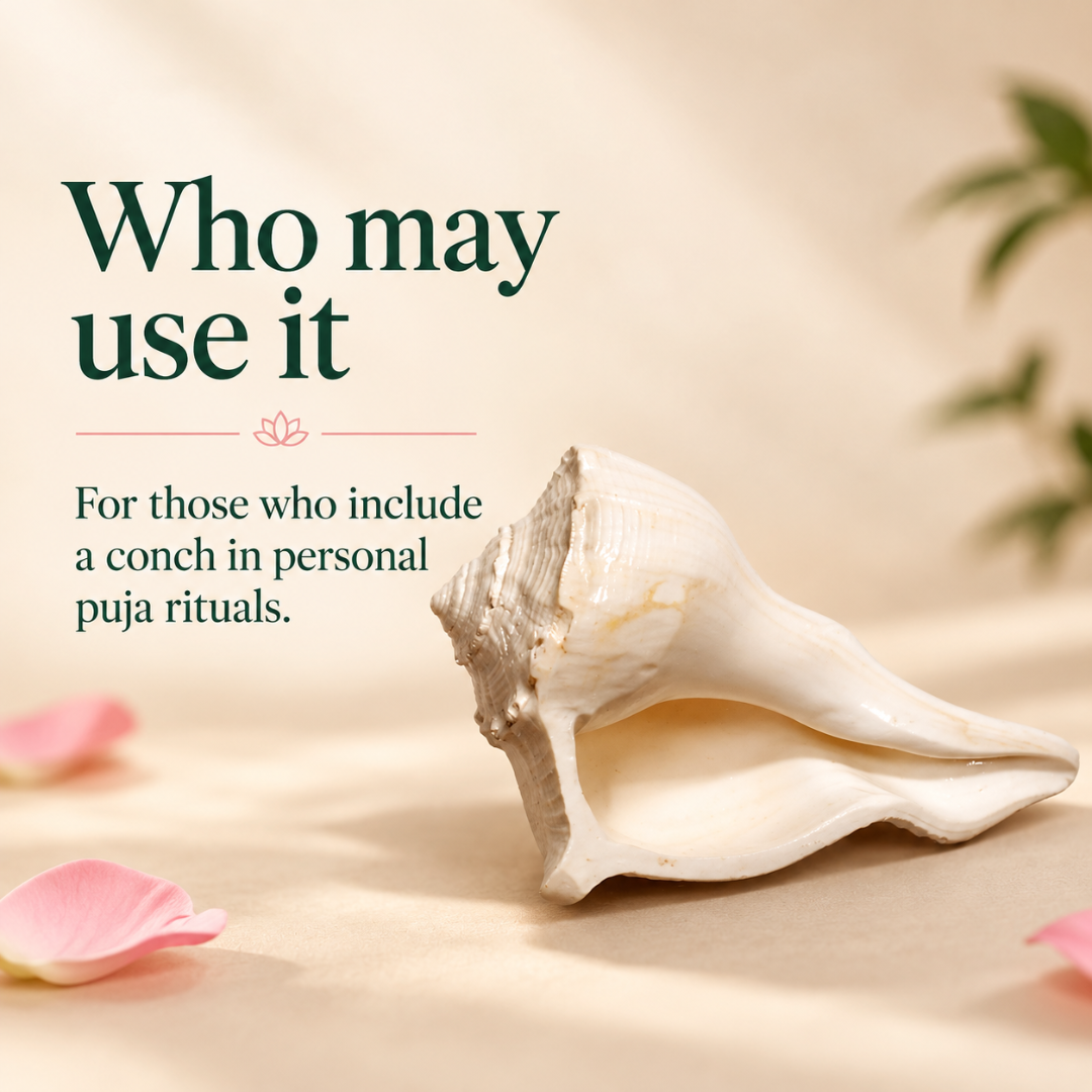 Shankh 5 Inch – Traditional Conch Shell for Home Mandir, Puja Display, Devotional Décor & Religious Gifting