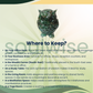 Green Aventurine Owl – Natural Crystal Owl for Prosperity, Wisdom, Good Luck & Positive Energy | Spiritual Home & Office Décor