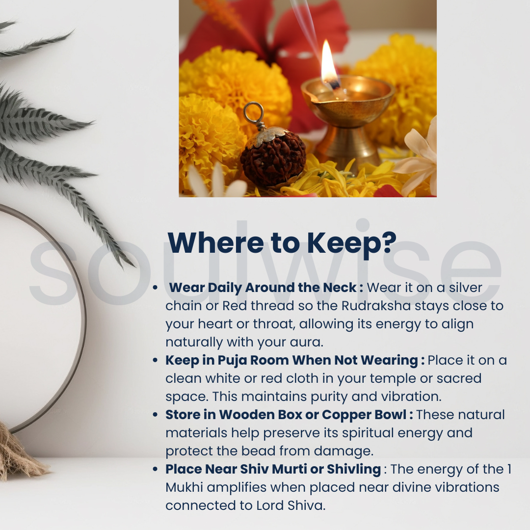 9 Mukhi Rudraksha Silver Pendant – Certified Nepalese Origin Bead for Strength, Protection & Positive Energy