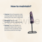 Amethyst Cluster on Metal Stand – 3" Natural Healing Crystal for Home Decor, Meditation, Reiki & Positive Energy