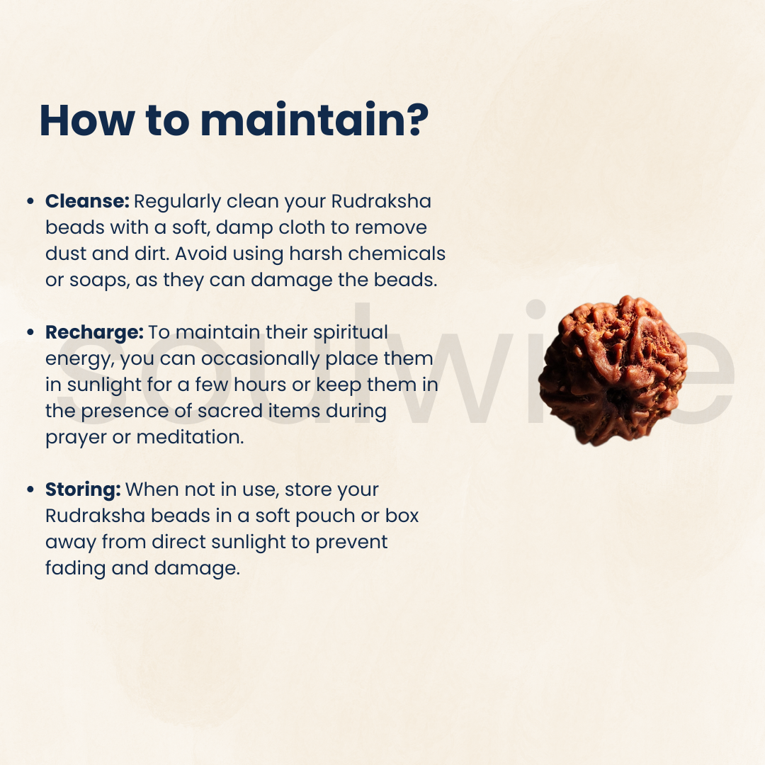 8 Mukhi Nepali Rudraksha Bead — Natural, Lab‑Certified, Spiritual Pendant / Mala Bead