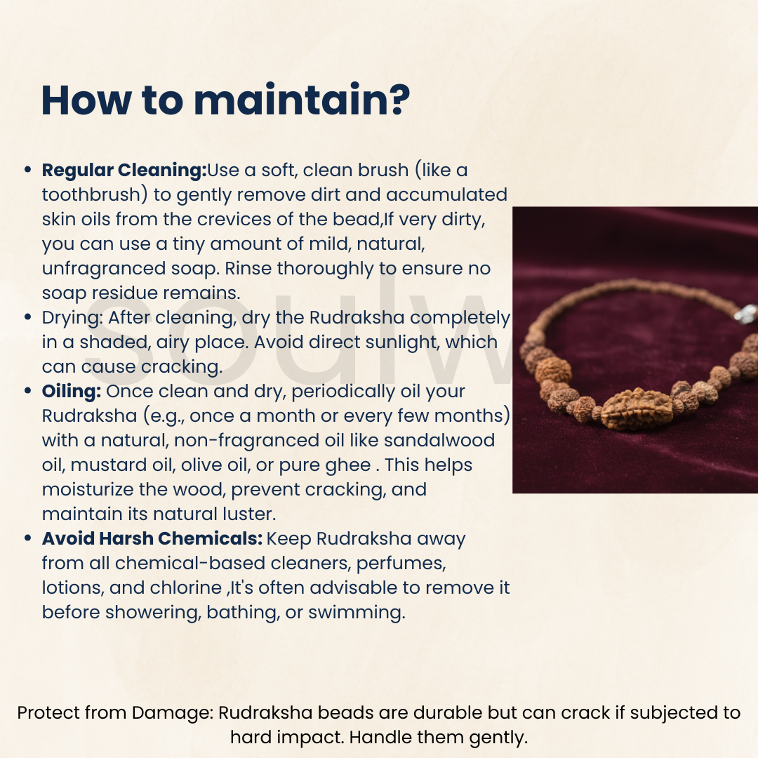 Indonesian 1-14 Mukhi Rudraksha Bracelet | Natural Multi-Face Rudraksha for Spiritual Growth, Protection & Positivity | Energized & Ready to Wear