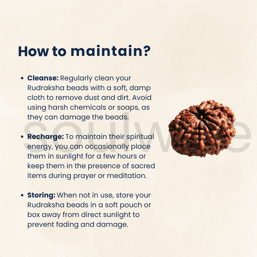 Natural 9 Mukhi Rudraksha • Certified Navan Mukhi Bead • Spiritual Protection, Courage & Energy Healing • For Men & Women