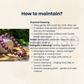 Lepidolite Bracelet 8mm – Natural Healing Crystal Beads for Stress Relief, Emotional Balance & Inner Peace | Unisex