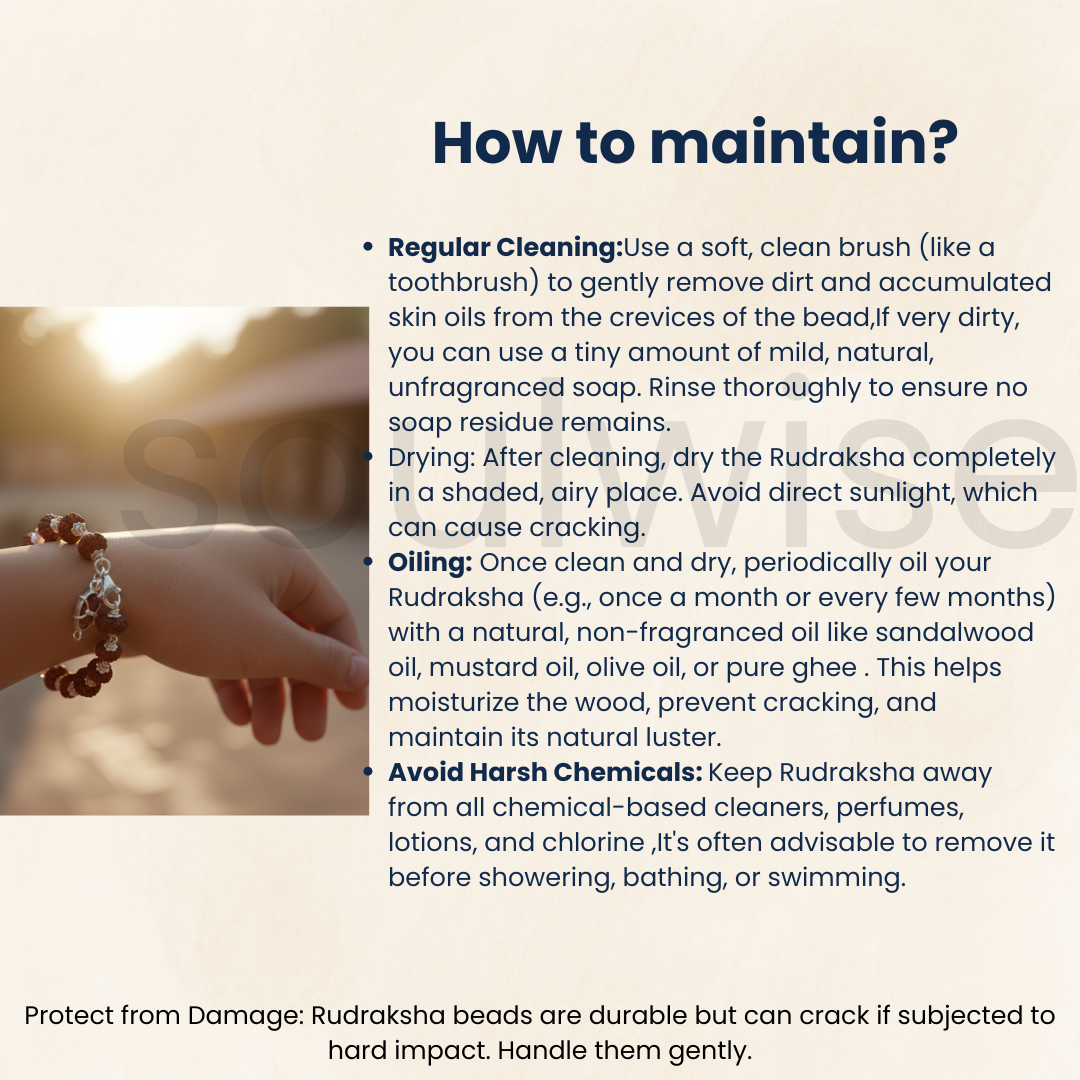 1 to 14 Mukhi Sarv Siddha Rudraksha Bracelet in Pure Silver | Natural Multi-Face Rudraksha for Spiritual Growth, Protection & Positivity | Energized & Blessed