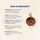 Certified 5 Mukhi Rudraksha Pendant for Men & Women | Natural Panch Mukhi Bead with Silver-Plated Holder.