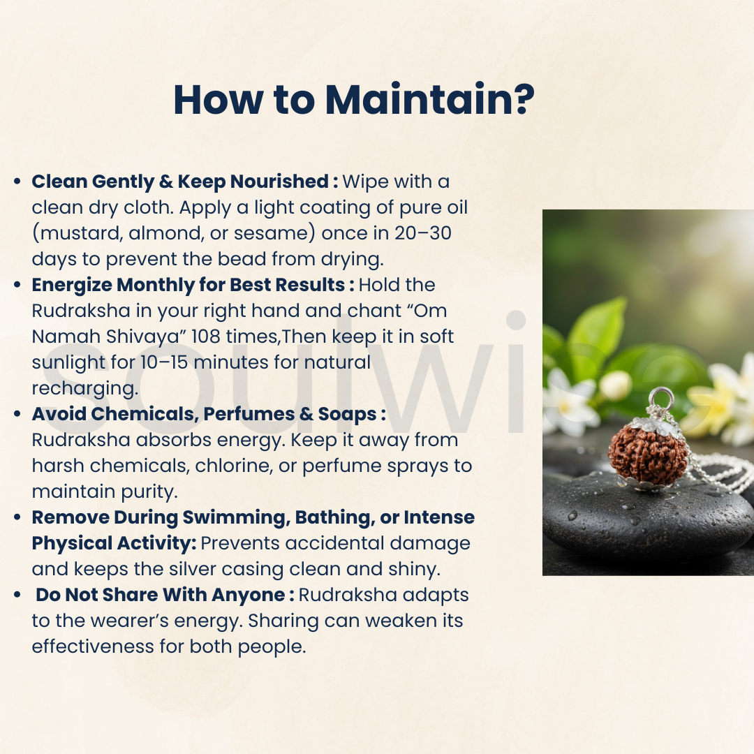 9 Mukhi Rudraksha Silver Pendant – Certified Nepalese Origin Bead for Strength, Protection & Positive Energy