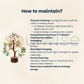 Money Magnet Tree – 8 Inch Crystal Wealth Tree