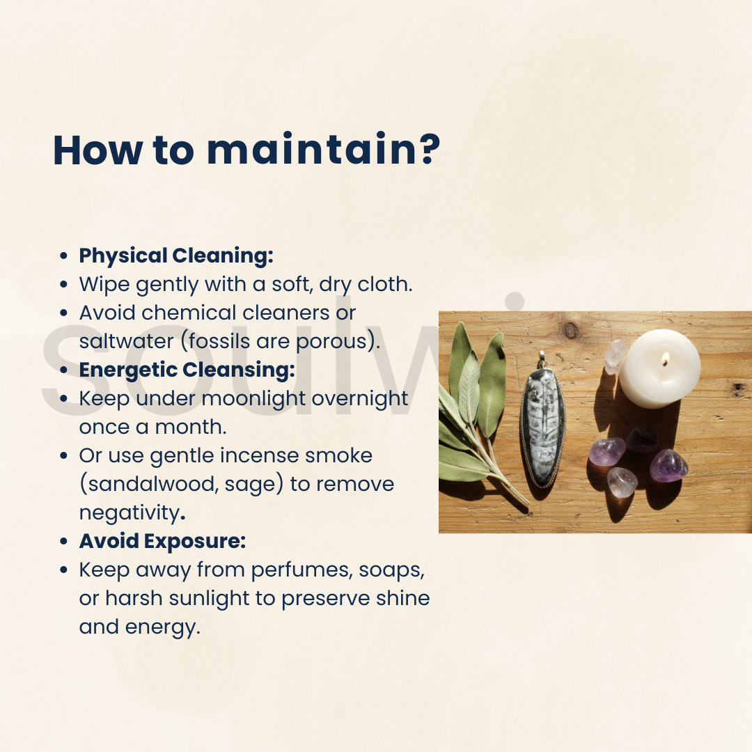 Orthoceras Fossil Kuber Stone Pendant, Kuber Locket, Unisex, Money magnet