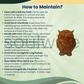 Citrine Owl – Natural Crystal Owl for Abundance, Prosperity, Success & Positive Energy | Spiritual Home & Office Décor