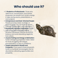 Pyrite Tortoise – Vastu Symbol of Wealth & Protection.