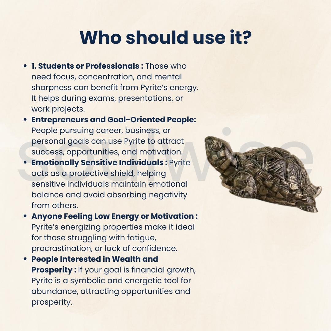 Pyrite Tortoise – Vastu Symbol of Wealth & Protection.