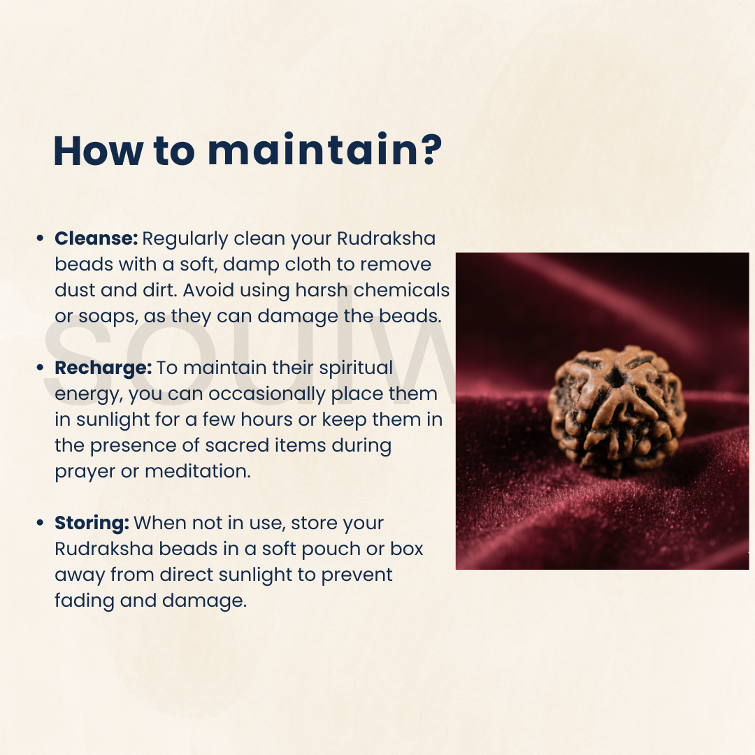 Soulwise Premium 4 Mukhi Nepali Rudraksha | Natural & Lab Certified | Energized for Knowledge & Wisdom | Comes in Box