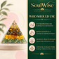 Money Magnet Orgone Pyramid – Symbolic Wealth & Prosperity Showpiece for Home, Office Desk & Spiritual Gifting