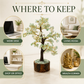Green Aventurine Crystal Tree - Good Luck Showpiece - Home Decor Items 8-10 Inch