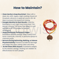 7 Mukhi Rudraksha Silver-Plated Pendant – Certified Bead for Wealth, Success & Positive Energy