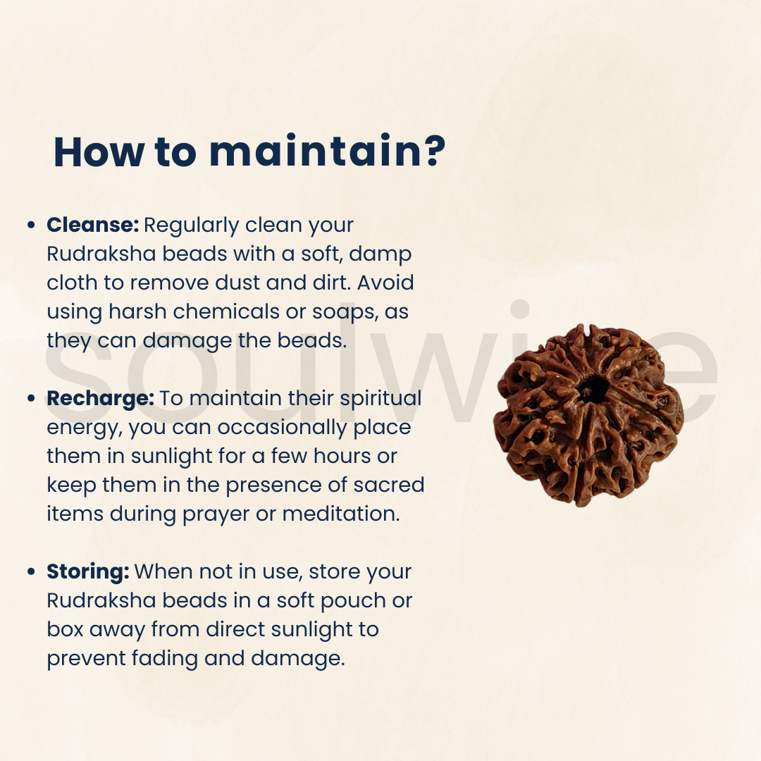 Soulwise Premium 5 Mukhi Rudraksha | Natural & Lab Certified | Energized for Health & Spiritual Power | Comes in Box.