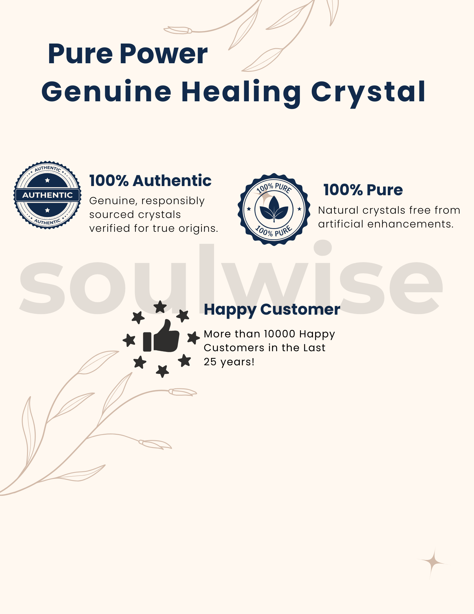 Soulwise