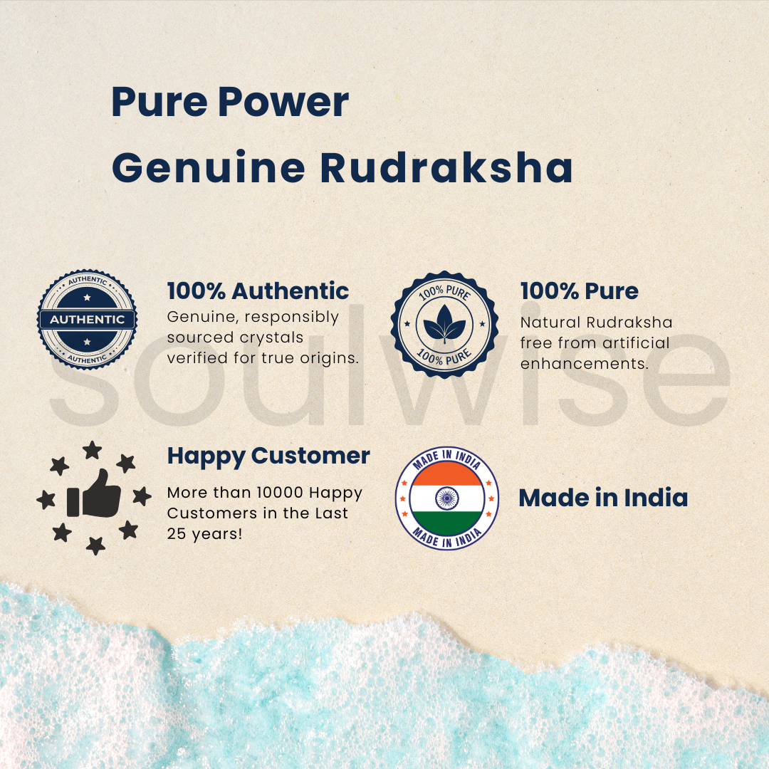 Natural 1 Mukhi Rudraksha (Kaju Shape) | Ek Mukhi Rudraksha for Peace, Focus & Spiritual Growth | Energized & Ready to Wear.