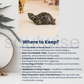 Pyrite Tortoise – Vastu Symbol of Wealth & Protection.