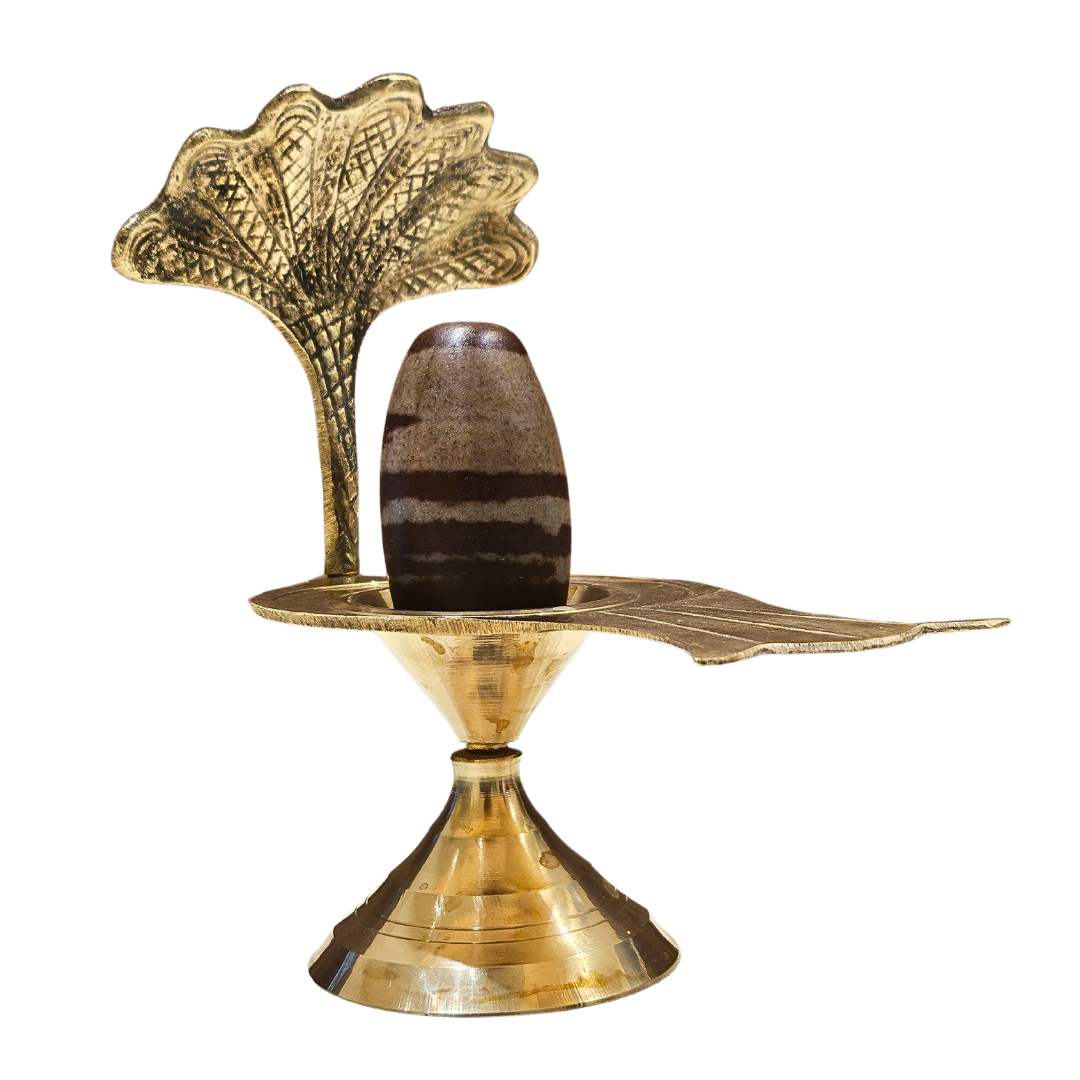 Enchanting Krystals Original Narmadeshwar Shivlingam Natural Lingam Stone Found from Narmada River | Sacred Idol for Puja, Meditation & Spiritual Energy.